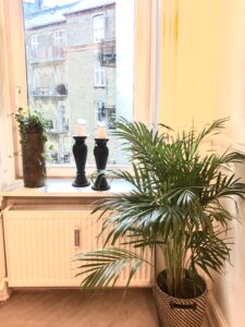 Herskabslejlighed Art meets Nature