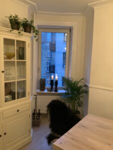 Herskabslejlighed Art meets Nature