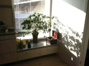 Sara Lotz indretning