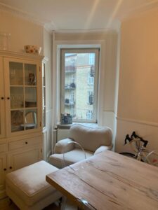 Herskabslejlighed Art meets Nature